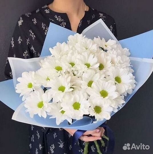 Хризантема Доставка цветов
