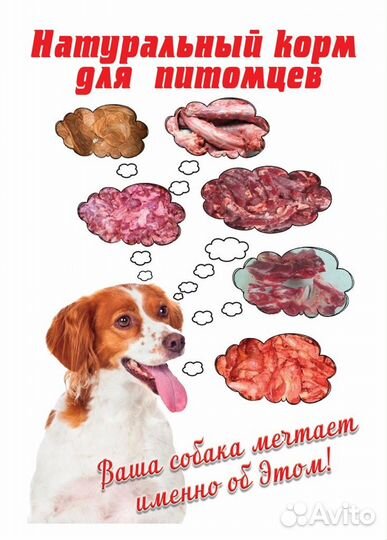 Мясо собакам