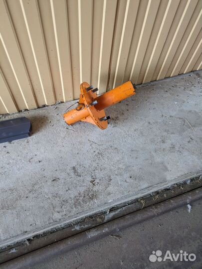 Ступица амазоне