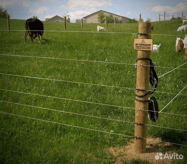 Электропастух