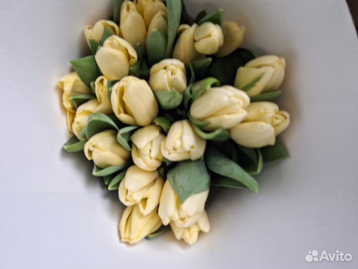 Тюльпаны оптом и в розницу