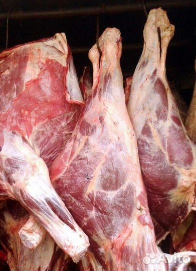 Мясо говядины