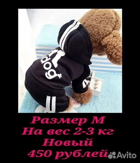 Костюм для собаки