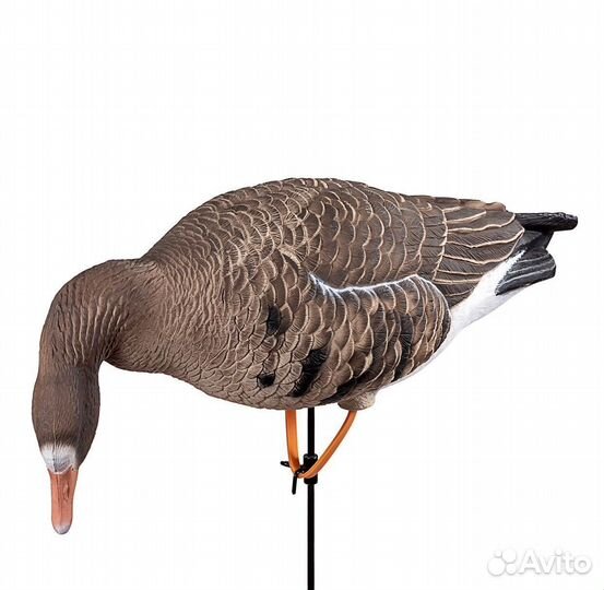 Чучела гусь белолобый 6шт DM-100501