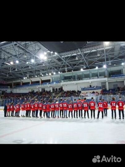 Тренер по хоккею