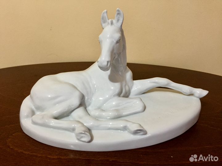 Лошадь. Германия