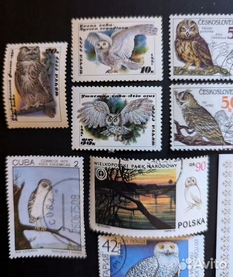Набор почтовых марок Совы