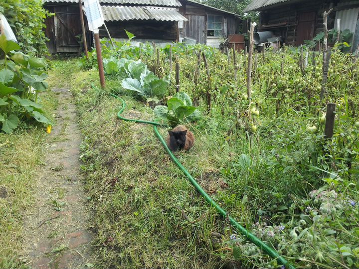 Дом 47 м² на участке 6 сот.