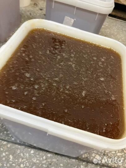 Свежий Майский мед оптом