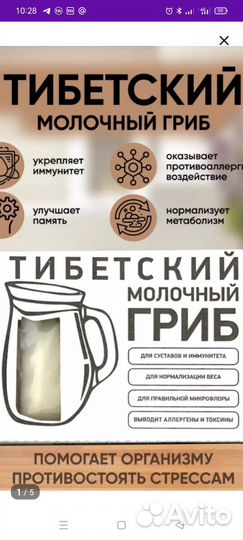 Тибетский молочный гриб