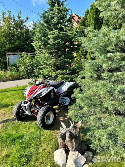 Квадроцикл yamaha YFM350 (raptor 350)