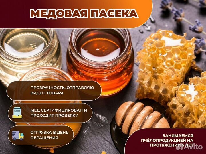 Мёд Липа, Цветочный, Гречишный оптом от 100 кг