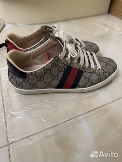 Кеды Gucci оригинал
