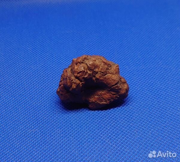 Метеорит Царев, хондрит L5 коллекционный