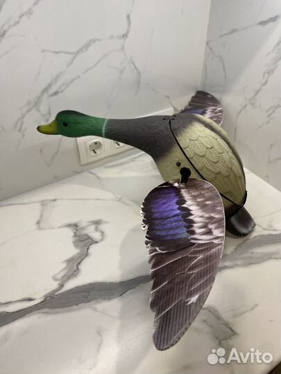 Утка махокрыл, чучело утки махокрыл, приманка