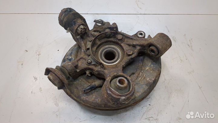 Ступица (кулак, цапфа) правая задняя Mitsubishi Pajero / Montero, 2004