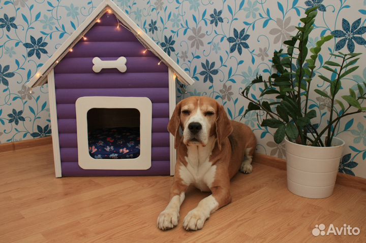Домик для собаки