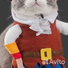 Фотогалерея: идеи новогодних костюмов для котов