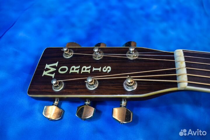 Акустическая гитара Morris MD-520. Japan