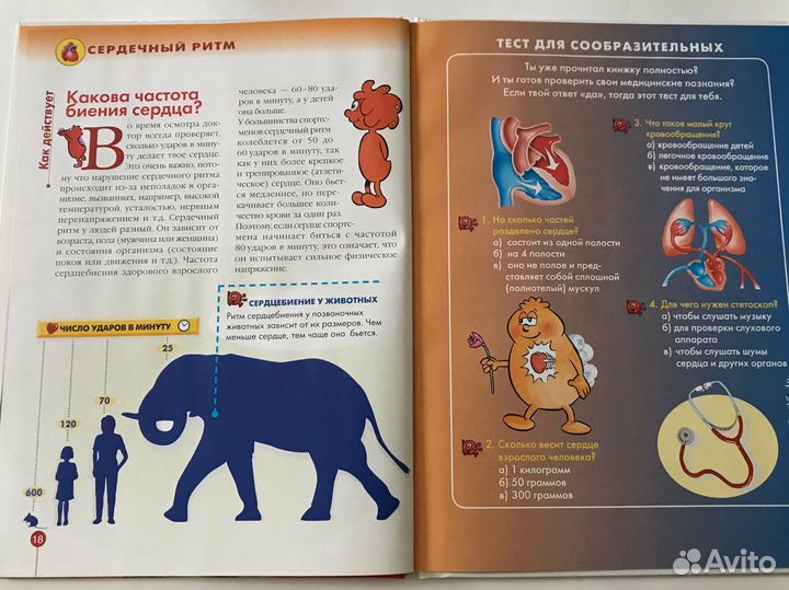 Серия книг для детей тело человека