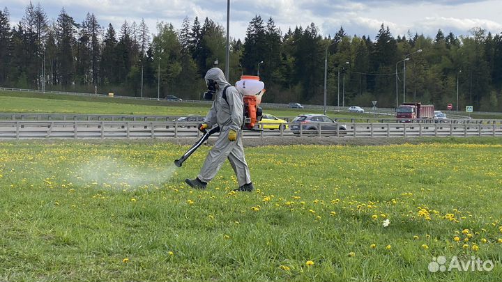 Уничтожение клещей,комаров,муравьев,ос,змей