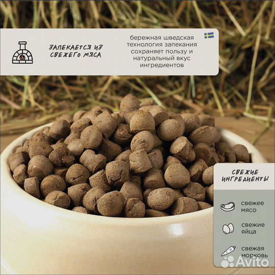 Сухой корм для взрослых собак