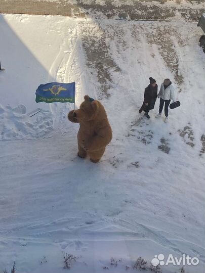 Поздравление от мишки