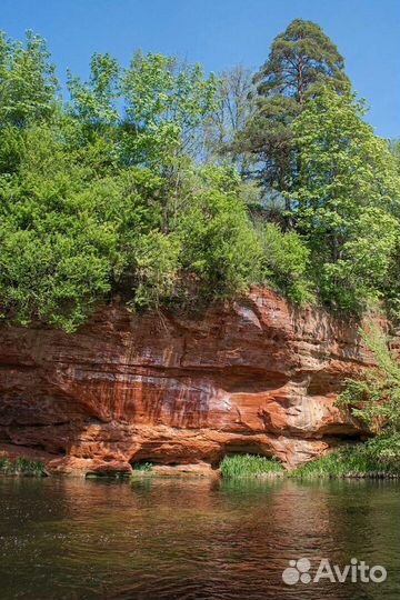 Sup Board: Прокат и Аренда Река Оредеж, Сиверский