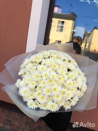 Роза, пионовидные розы, хризантемы, цветы