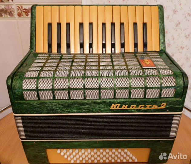 Аккордеоны Юность и другие. Детские