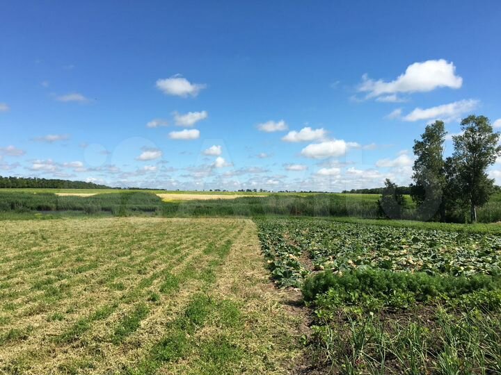 Участок 40 сот. (ИЖС)