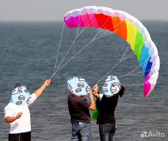 Кайт пилотажный,Воздушный змей спортивный 2м