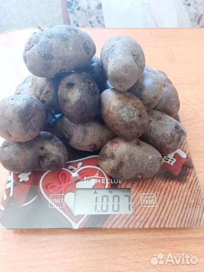 Семенной картофель