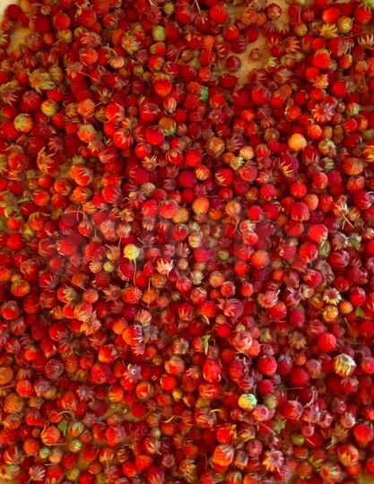 Дом 20,4 м² на участке 15 сот.