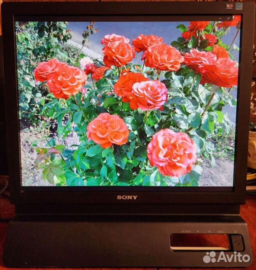 Монитор Sony 19