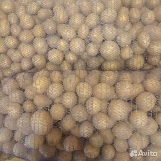 Квашеная капуста, овощи и фрукты