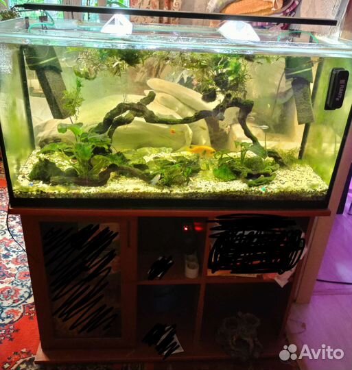 Аквариум 200л с тумбой