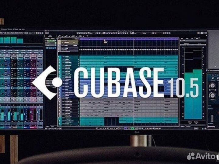 Steinberg cubase pro 10.5 elicenser