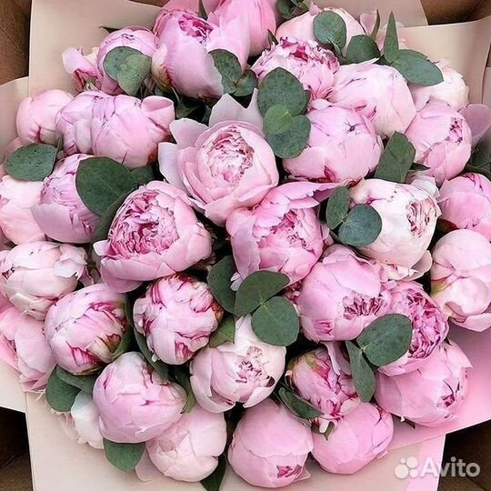 Пионы Букеты Цветы Доставка