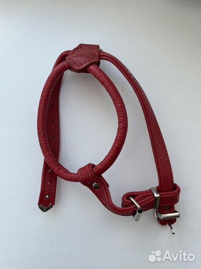 Шлейка когтерез