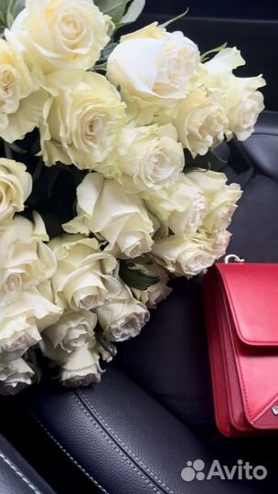 Свежие розы