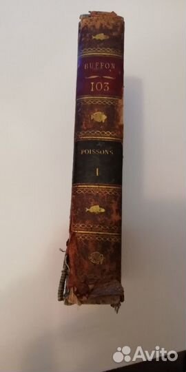 Книга 1801 год, первое прижизненное издание