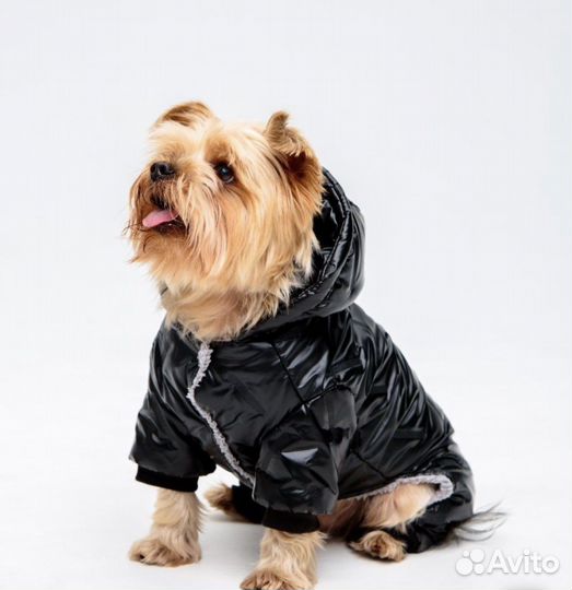 Комбинезон для собак