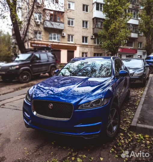 Трезвый водитель