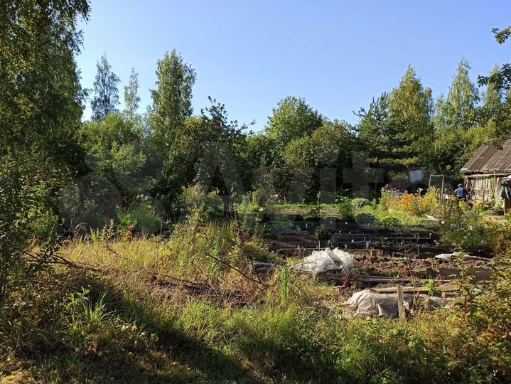 Участок 6 сот. (СНТ, ДНП)