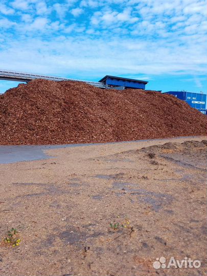 Кора сосны мульча