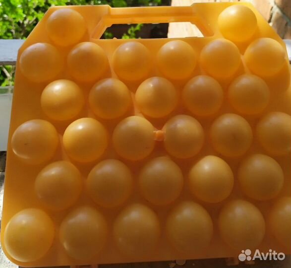 Контейнер для хранения яиц