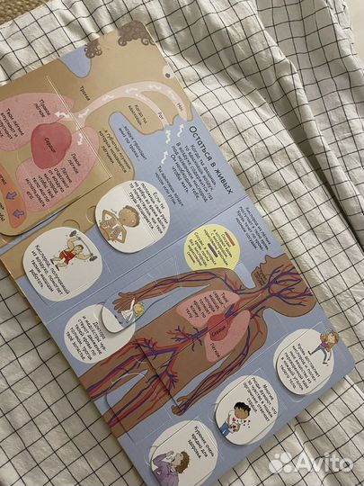 Книга Секреты человека с окошками