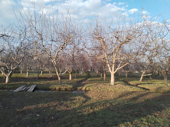 Участок 24,7 сот. (ИЖС)