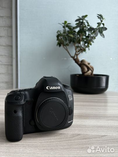 Canon eos 5D mark iii body